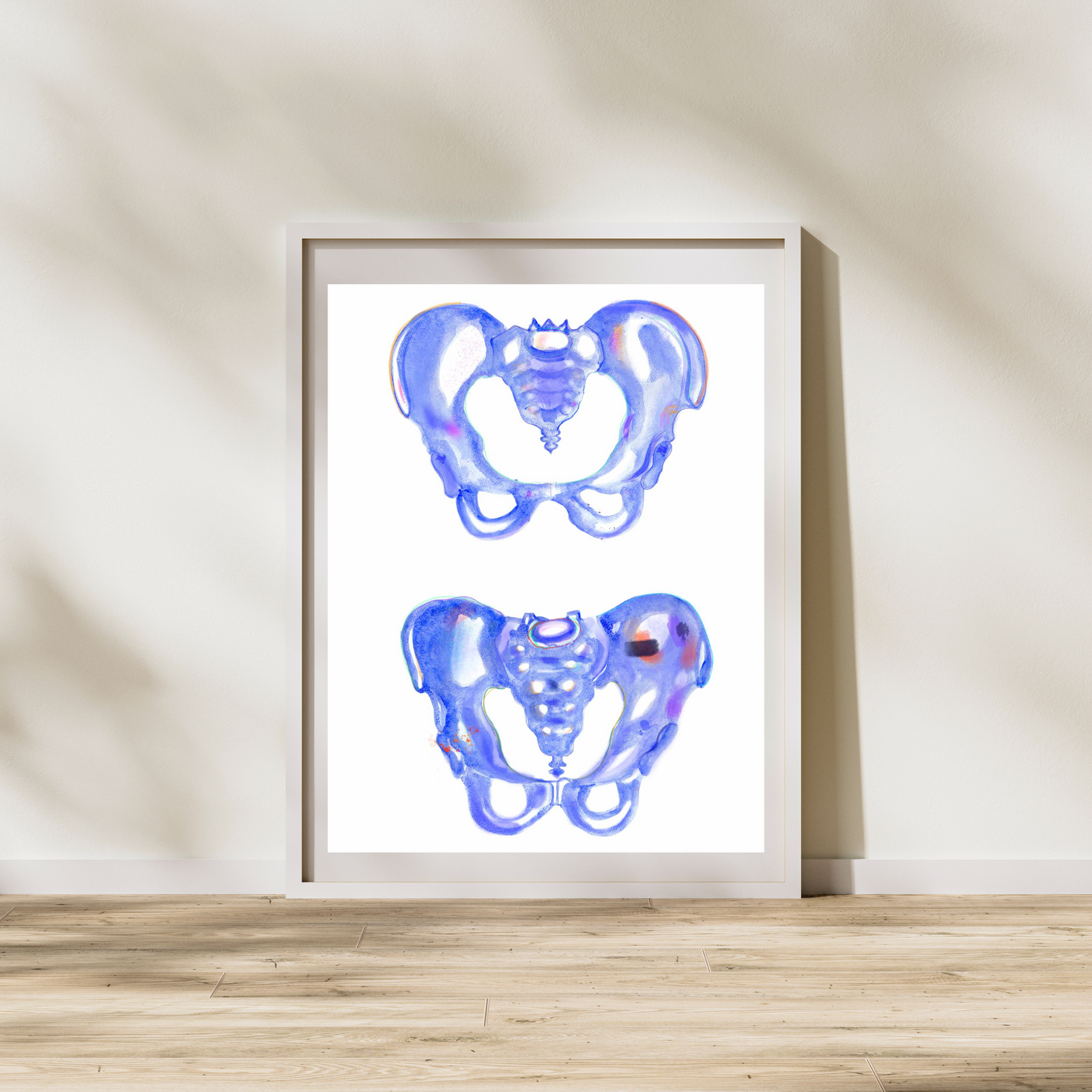Female and Male Pelvis Anatomy Art Print
