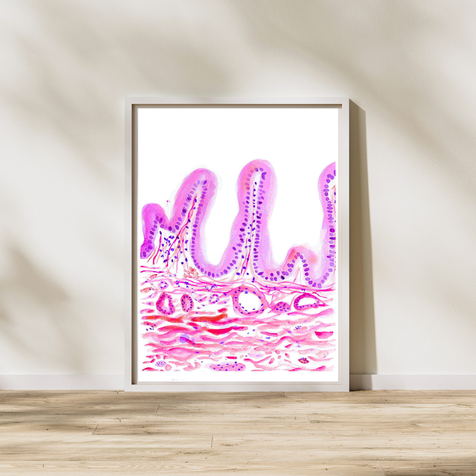 cholecyst histology art
