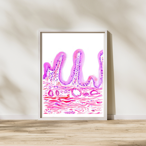 cholecyst histology art
