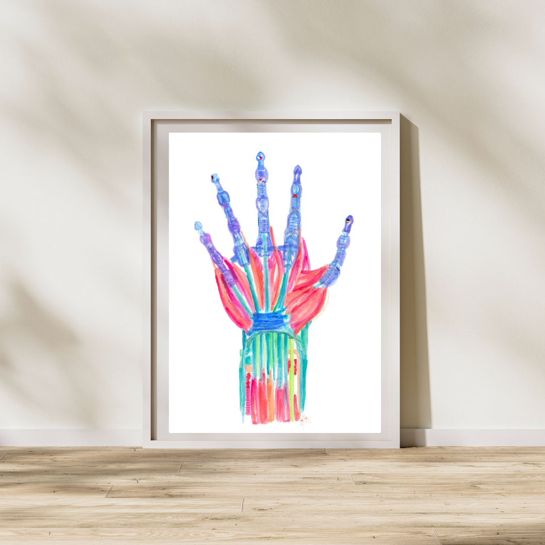 hand anatomy art print