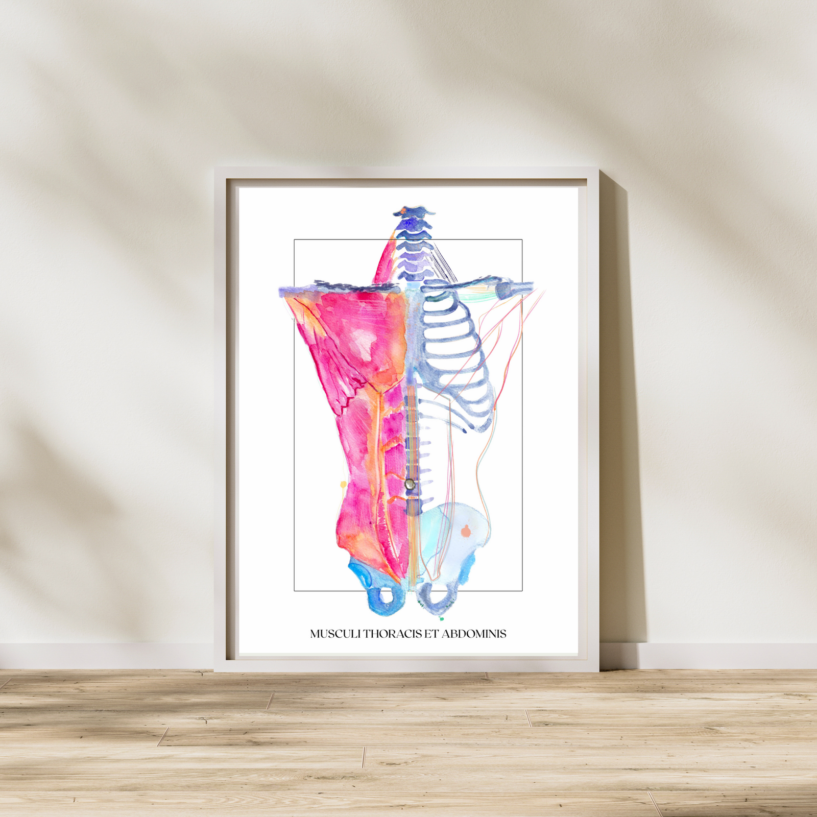 Torso Anatomy Art Print