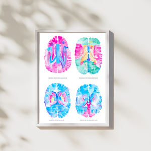 Brain Anatomy Artwork, Neurology Office Decor, Neuroscientist Gift