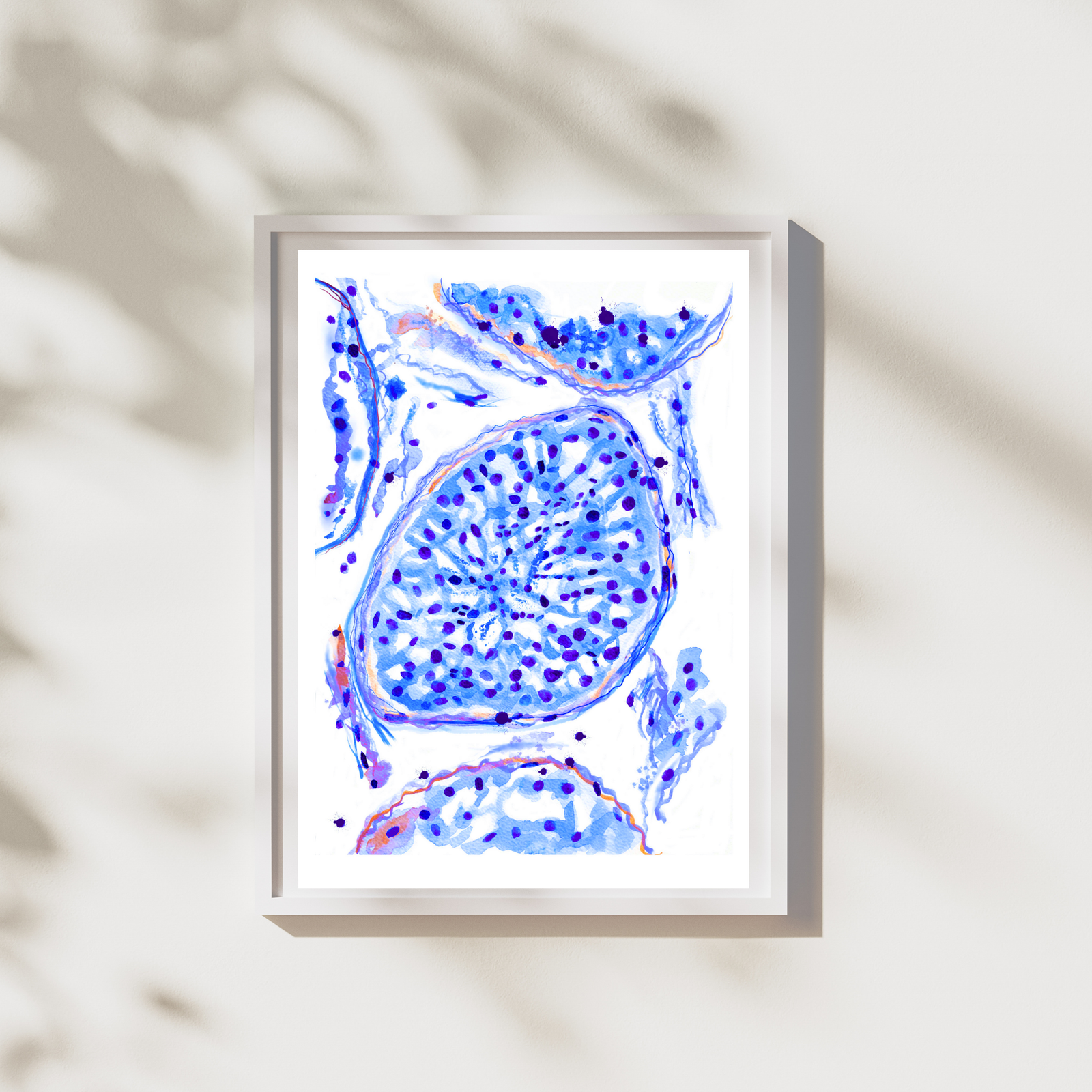 testes histology art print