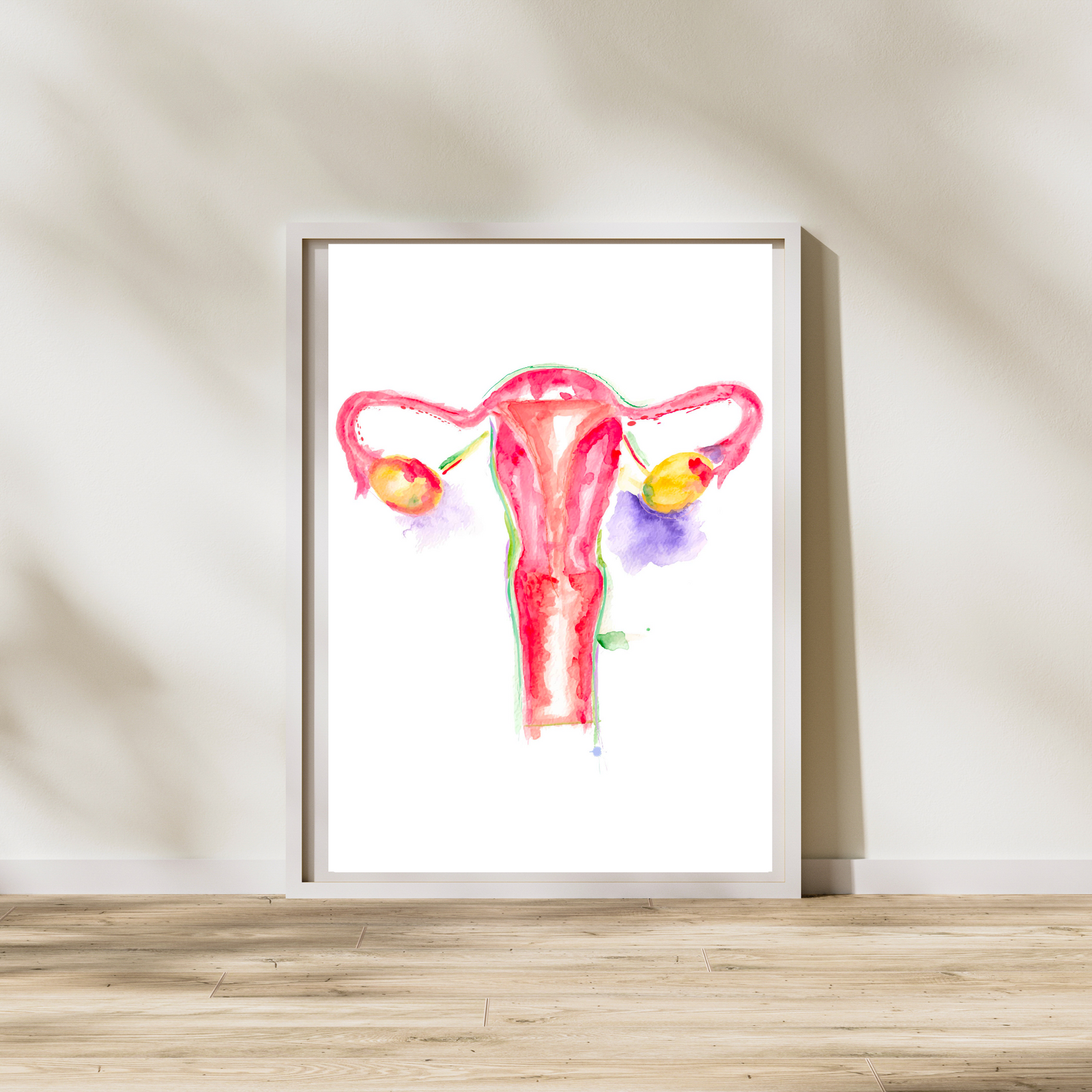 uterus anatomy art