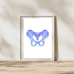 Pelvis Anatomy Art Print, Physical Therapy Art, Orthopedic Surgery Art