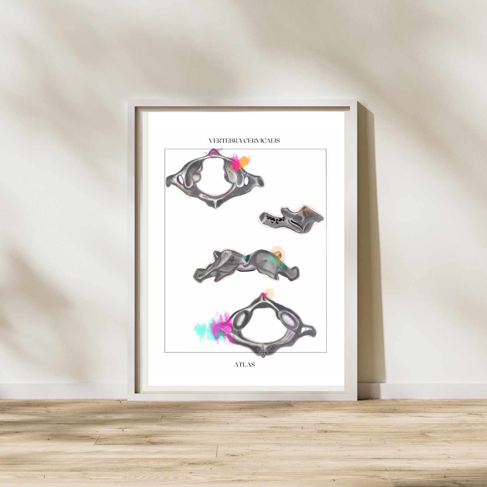 Cervical Vertebra Anatomy Art