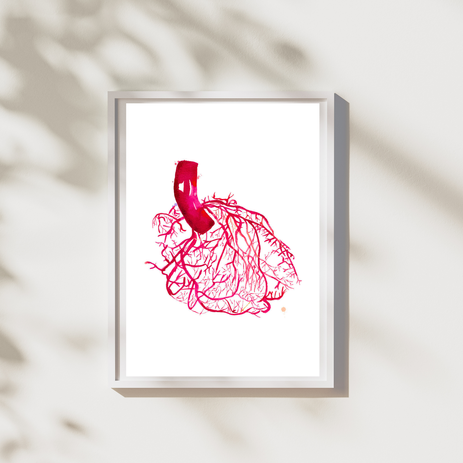 Heart Anatomy Vascularization Art Print