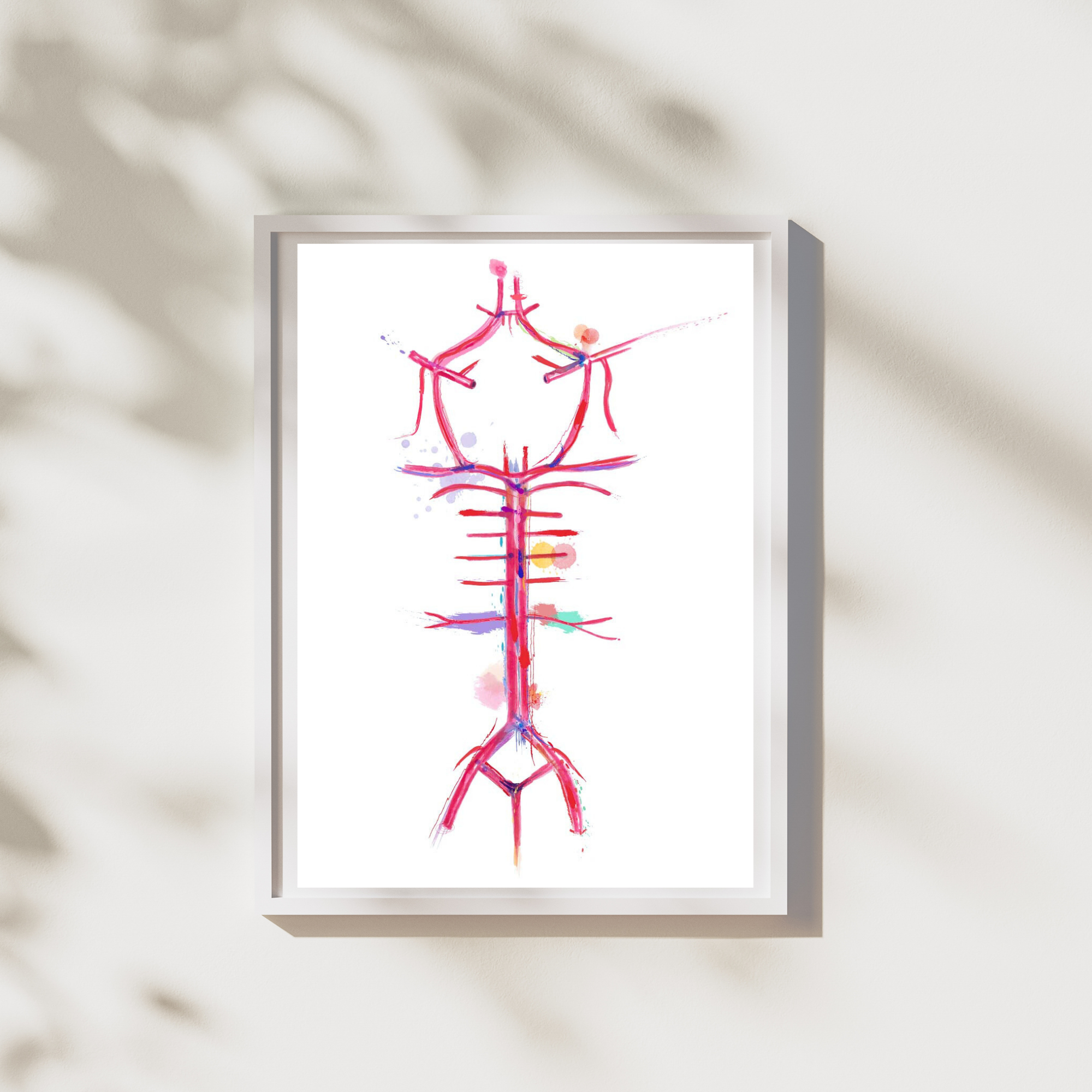 brain circle of willis
