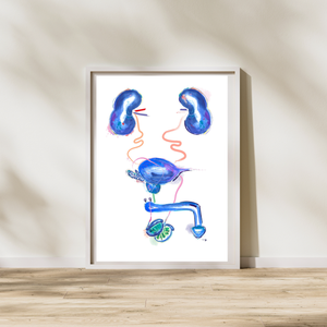 urology anatomy art print