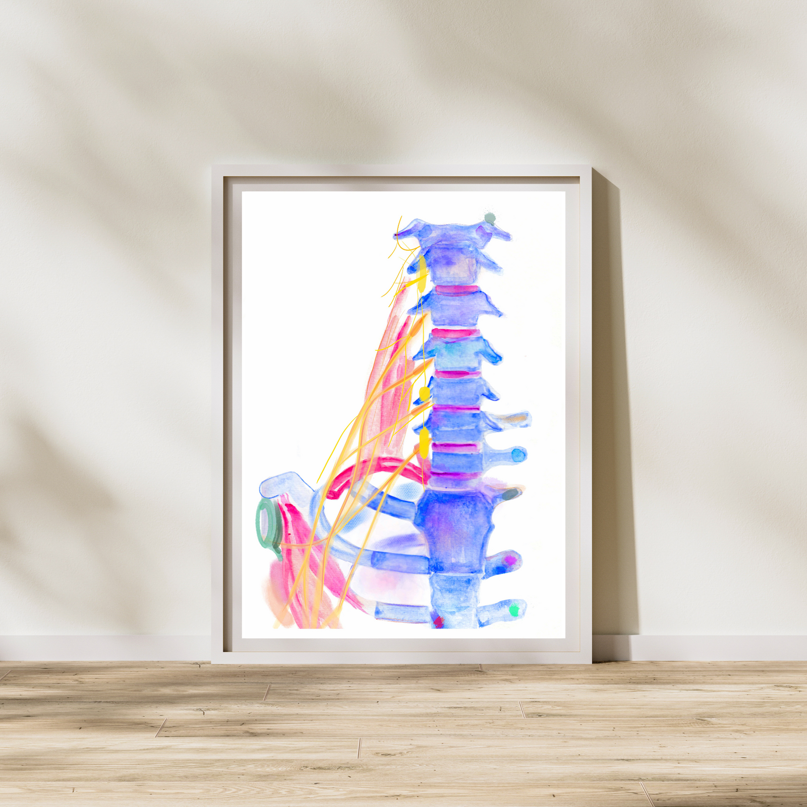 Brachial Plexus Anatomy Art