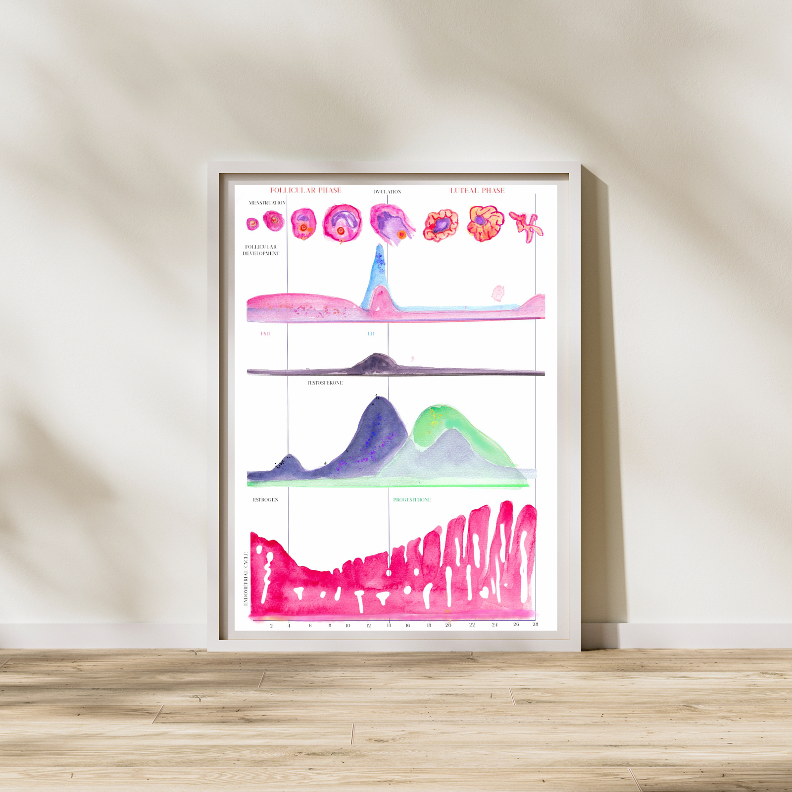 Menstrual Cycle Watercolor Art Print