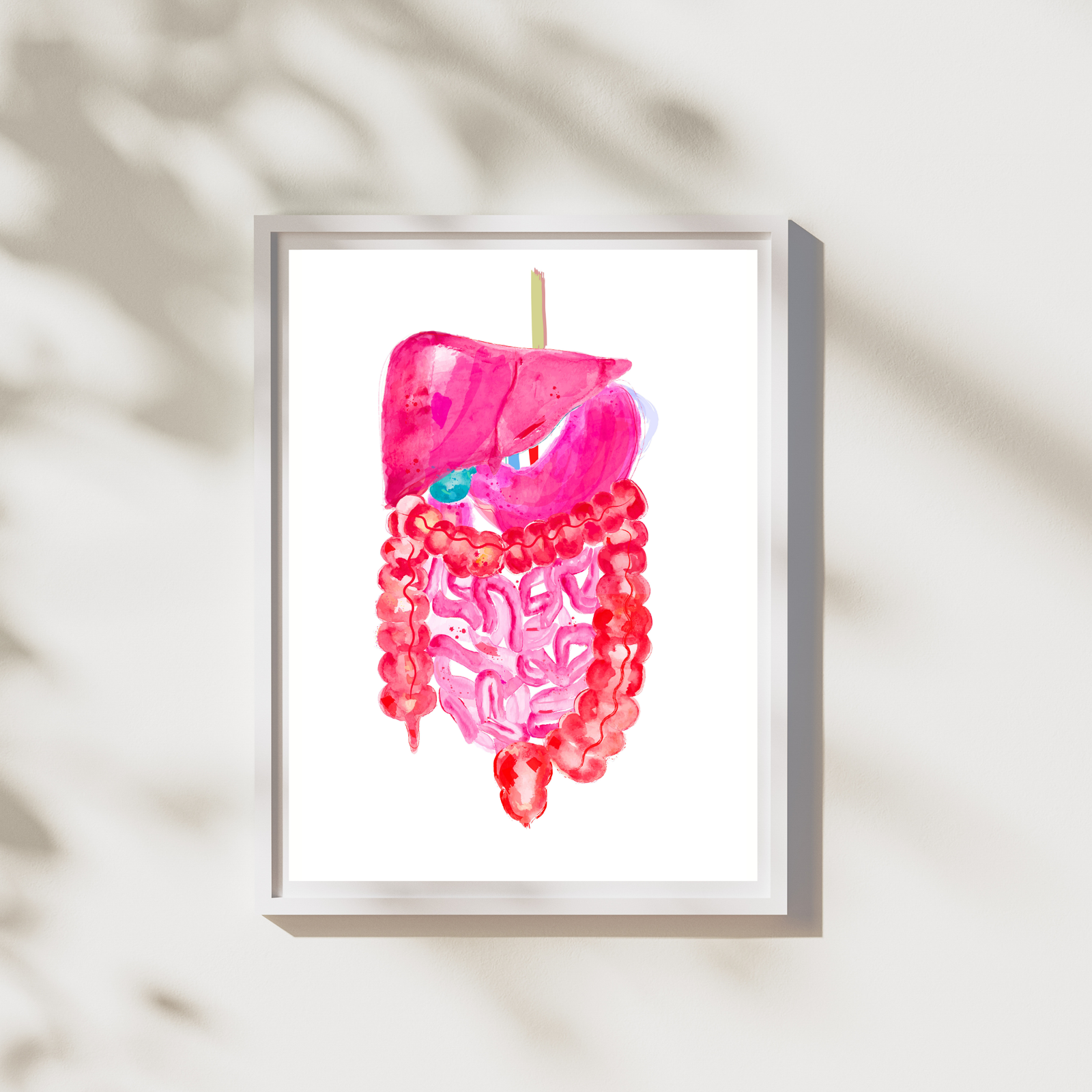liver intestines stomach anatomy art print