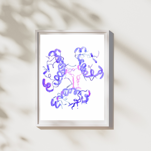 Human Insuline Folds Molecular Biology Art Print