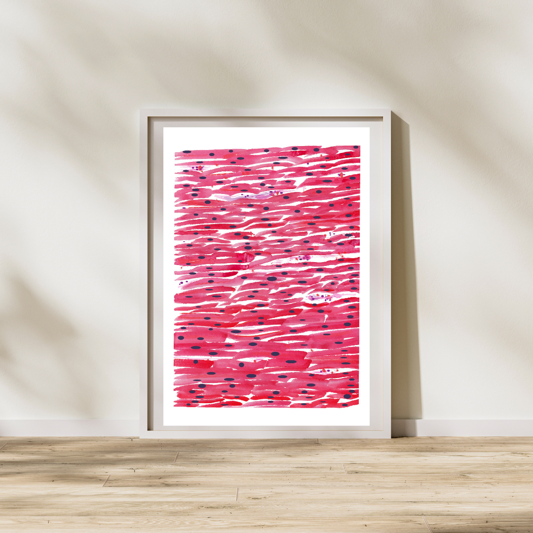 Cardiac Histology Art Print, Pathology Office Art