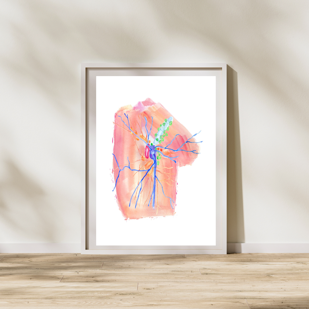 Inguinal Region Anatomy Art Print
