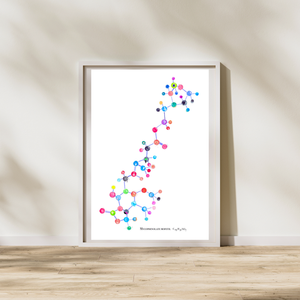 Mycophenolate Mofetil  Molecule Art Print