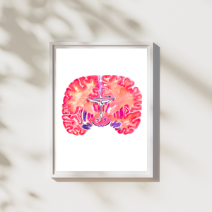 Hippocampus Neuroanatomy Art Print