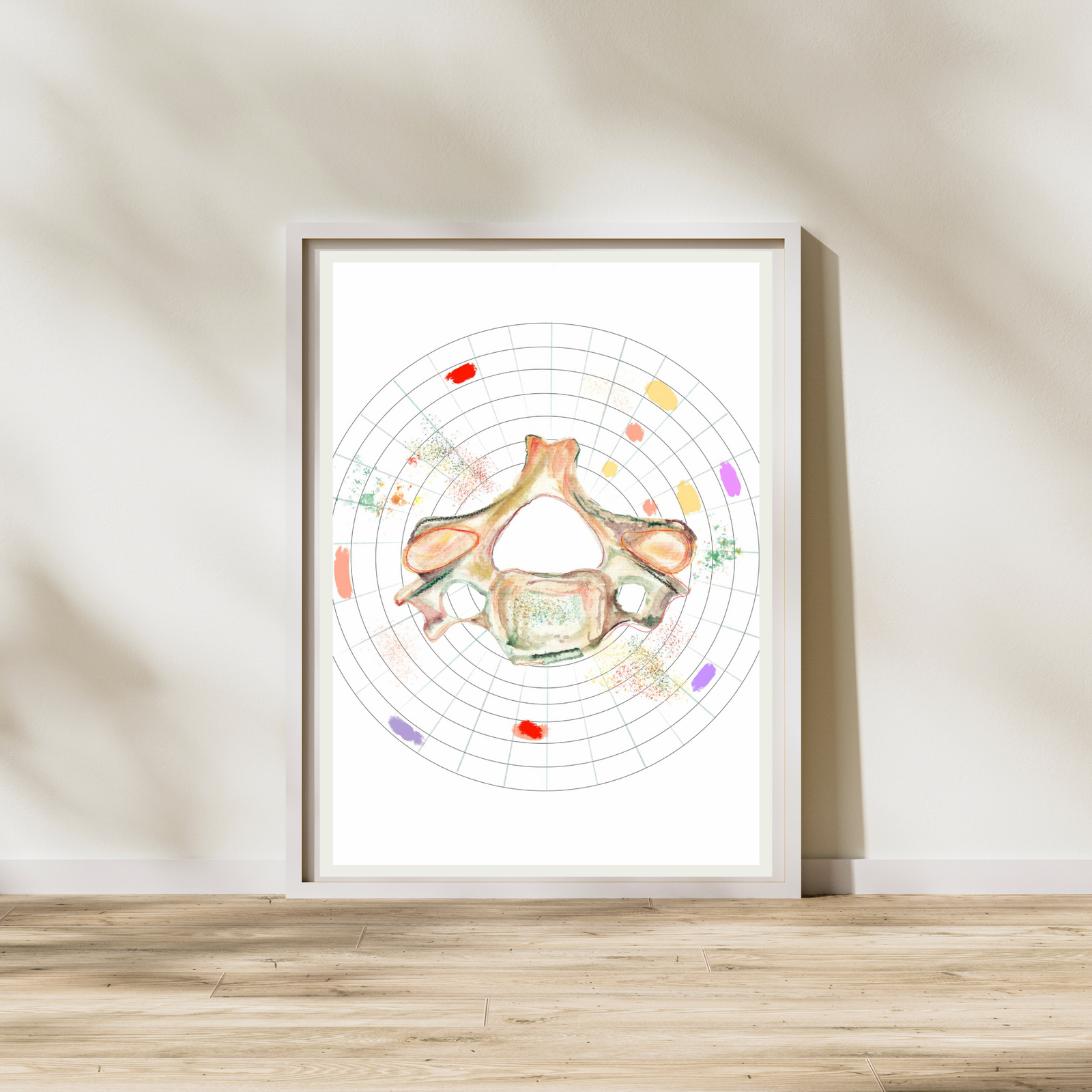 Vertebra Abstract Anatomy Art