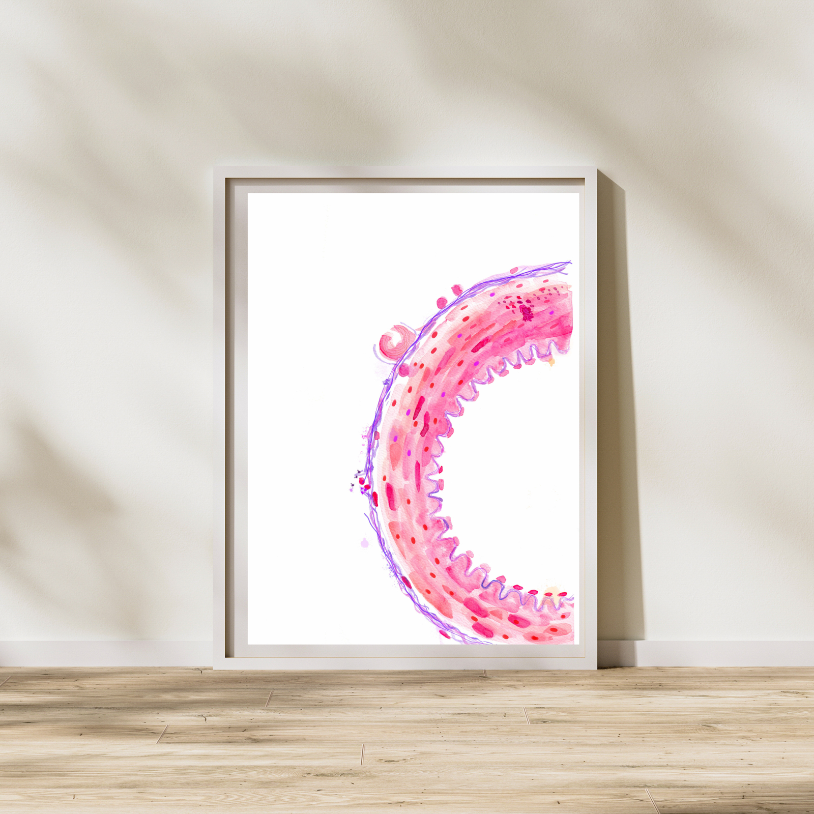 Artery Wall Histology