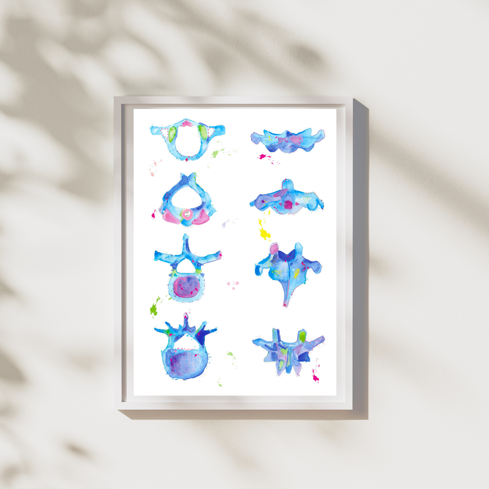 vertebrae watercolor painting