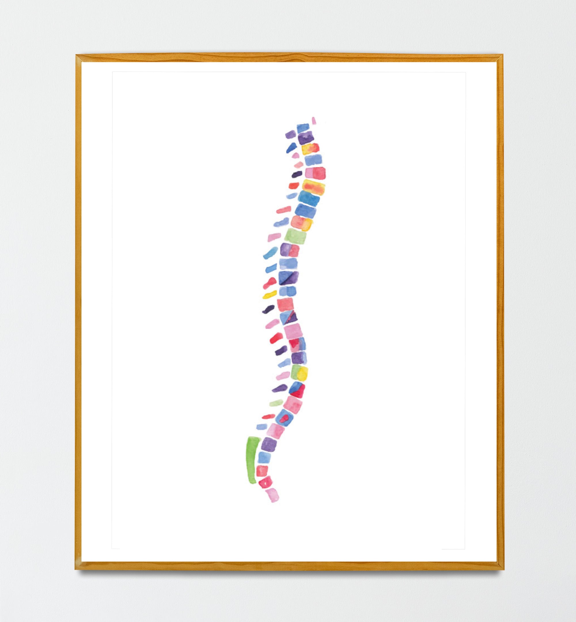 Spine Anatomy Abstract Chiropractor Art Print