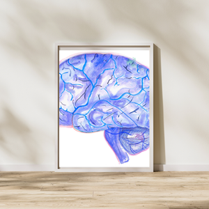 brain anatomy and veins anatomy art print