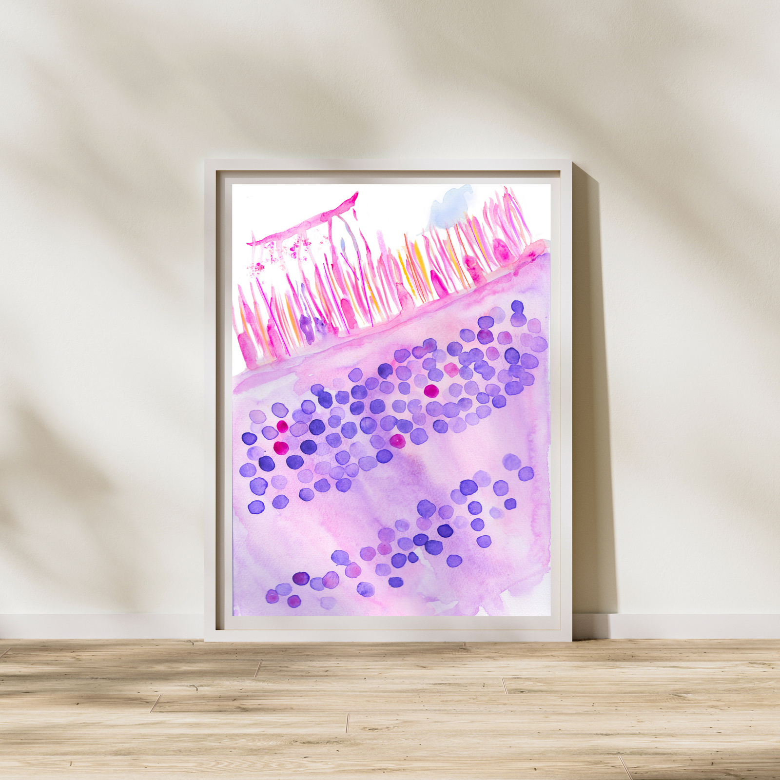 Rods and Cones Photoreceptor Histology Ophthalmology Art