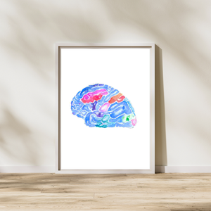 colorful brain anatomy watercolor art print