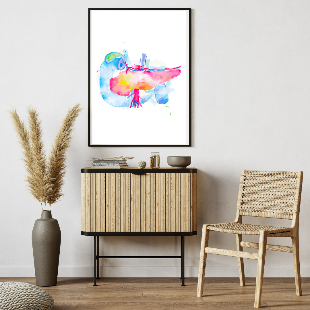Pancreas Anatomy Art
