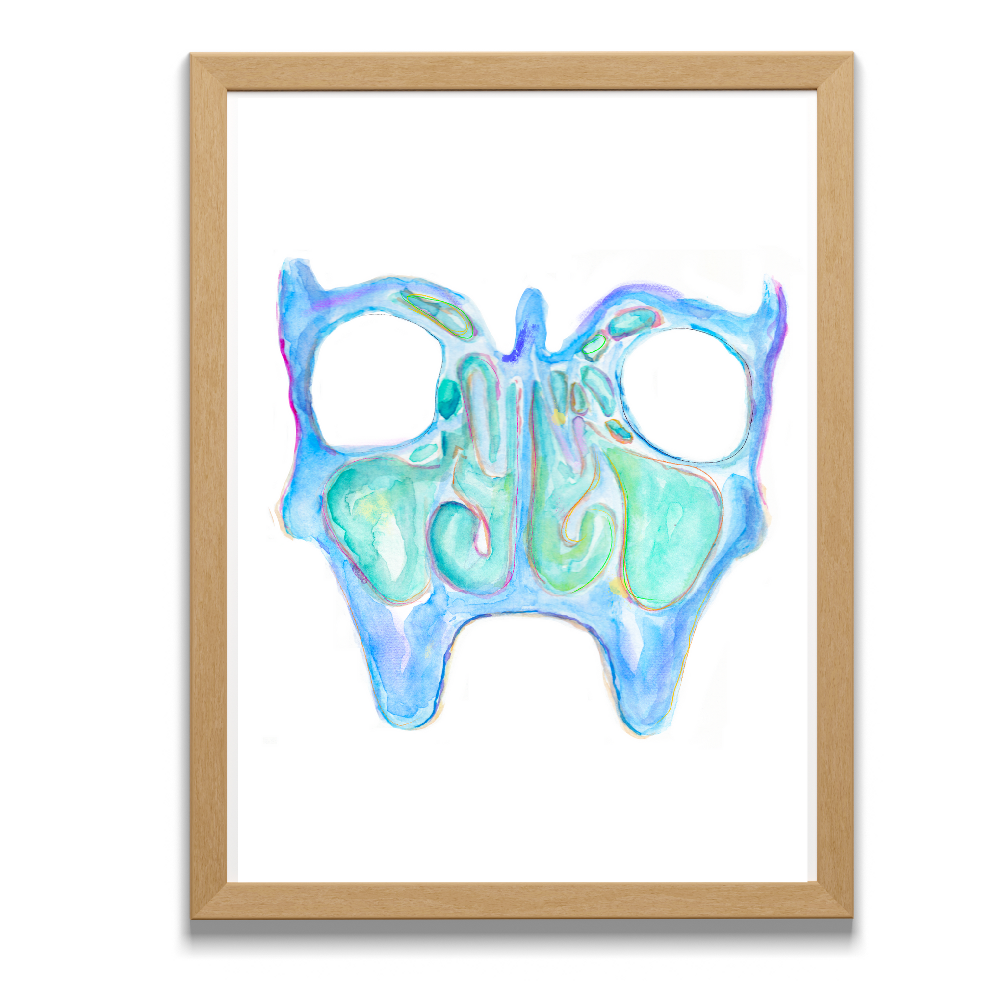 Sinus Anatomy Art Print