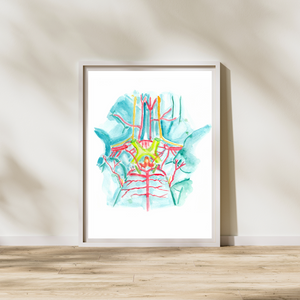 circle of willis
anatomy painting