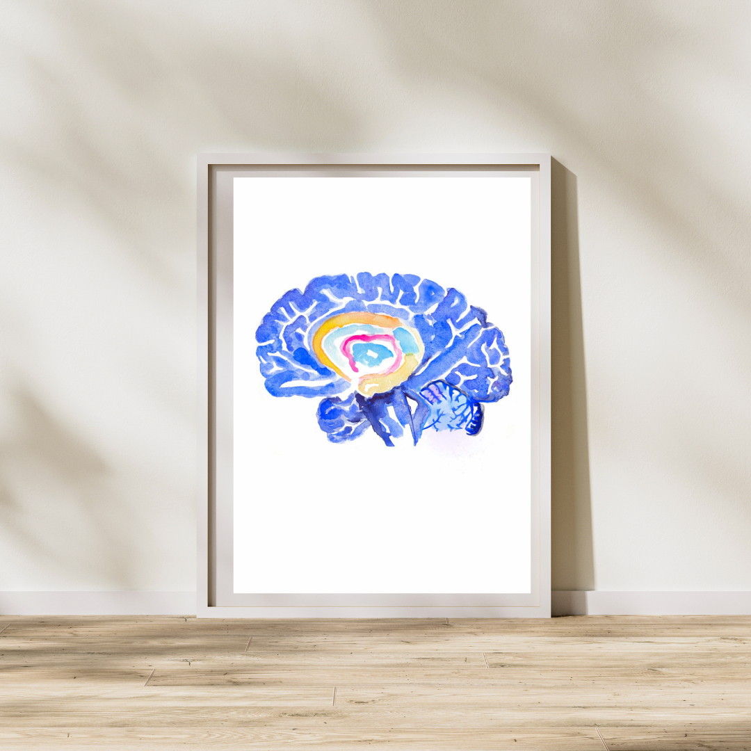 Hippocampus Brain Anatomy Art Print