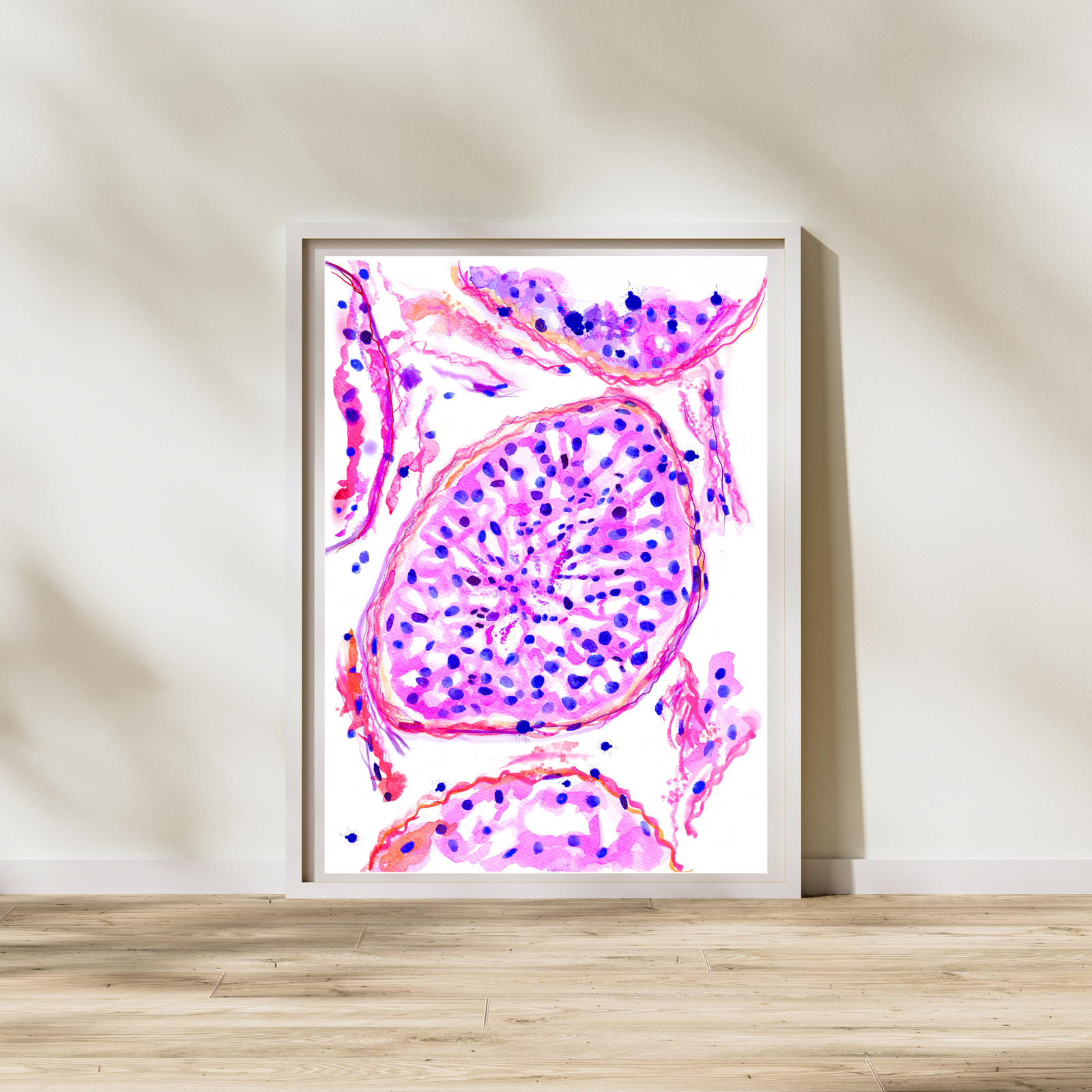 testis normal histology watercolor painting