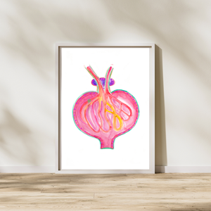 Glomerulus Kidney Watercolor Art Print