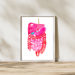 liver intestines stomach anatomy art print