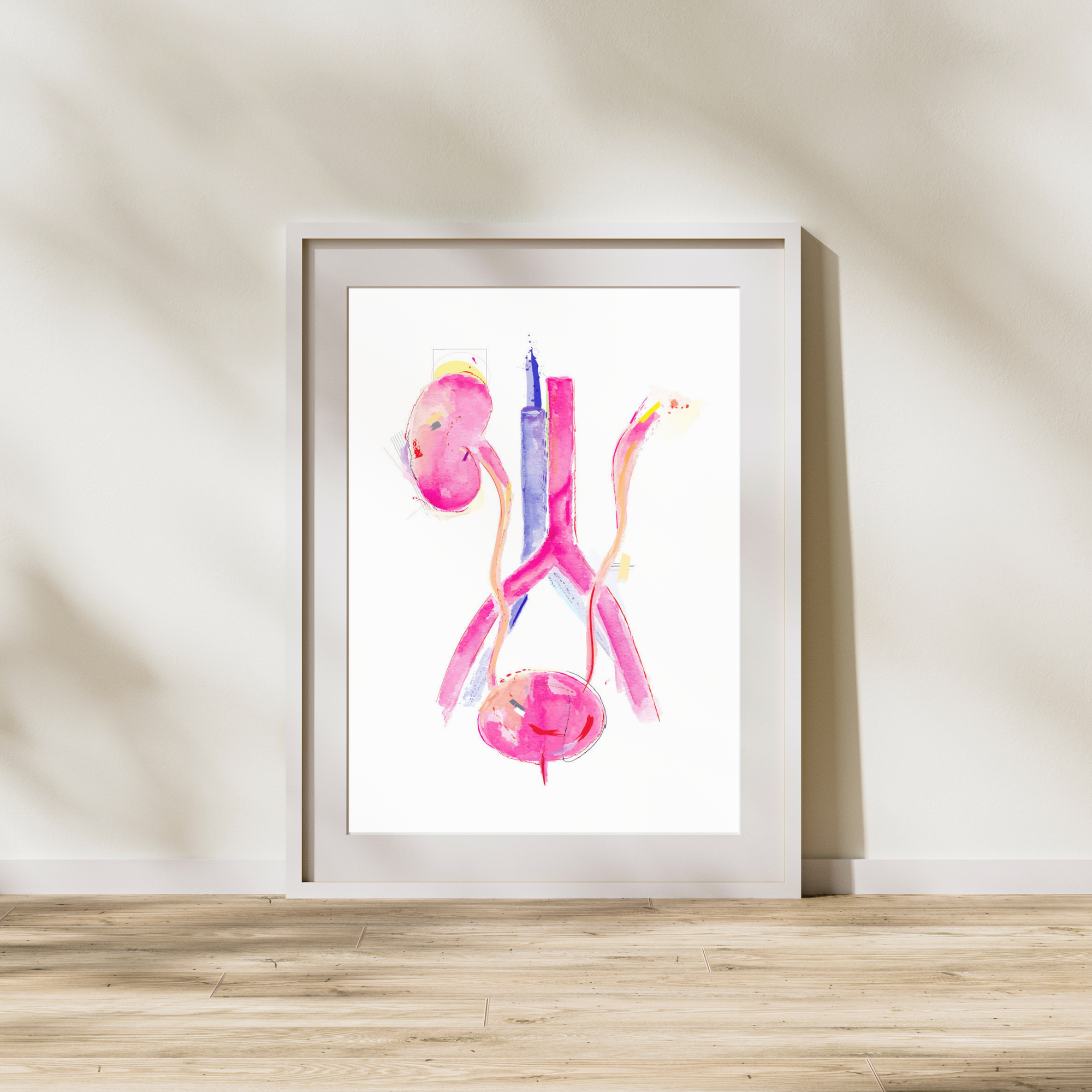 bladder anatomy art print
