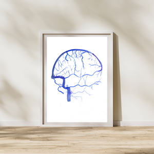 Brain Angiography Venous Phase Watercolor Art