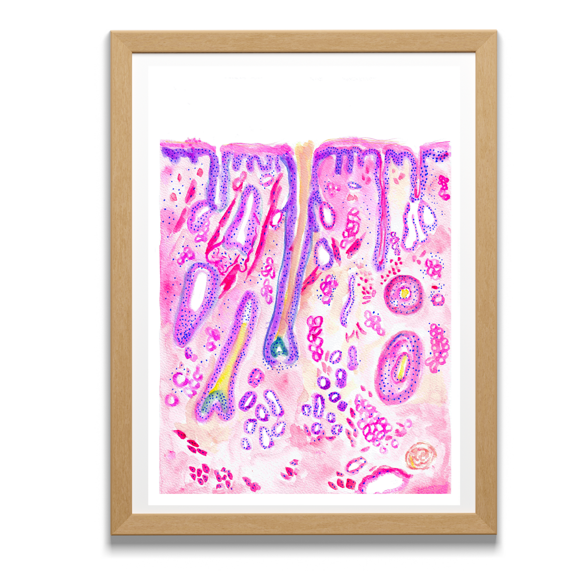 Hair Follicle Histology Art Print