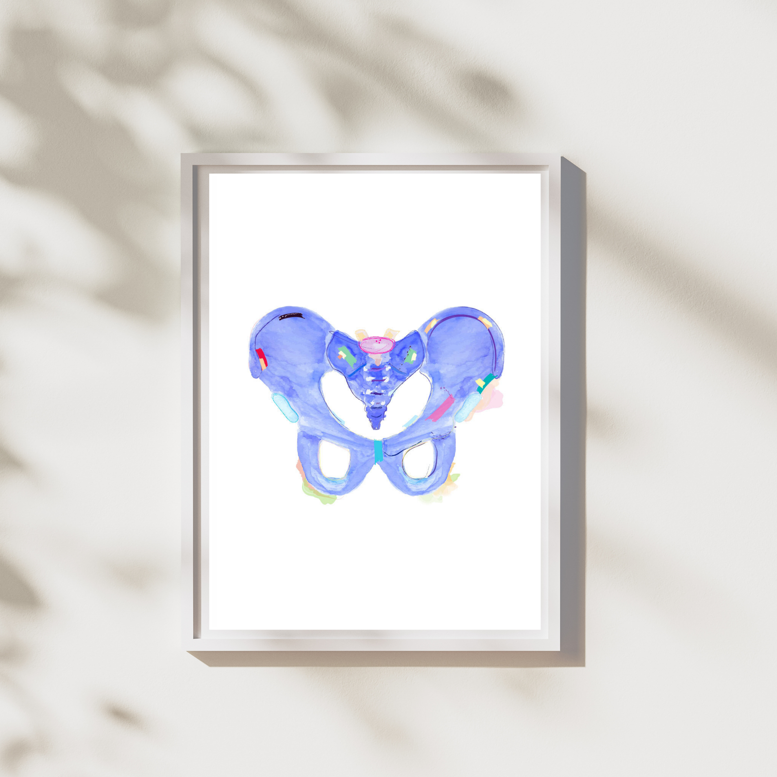 Pelvis Anatomy Art Print, Physical Therapy Art, Orthopedic Surgery Art