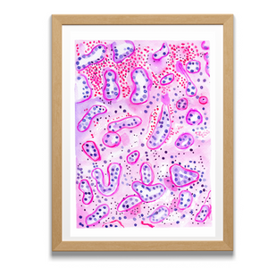 renal pathology artwork
