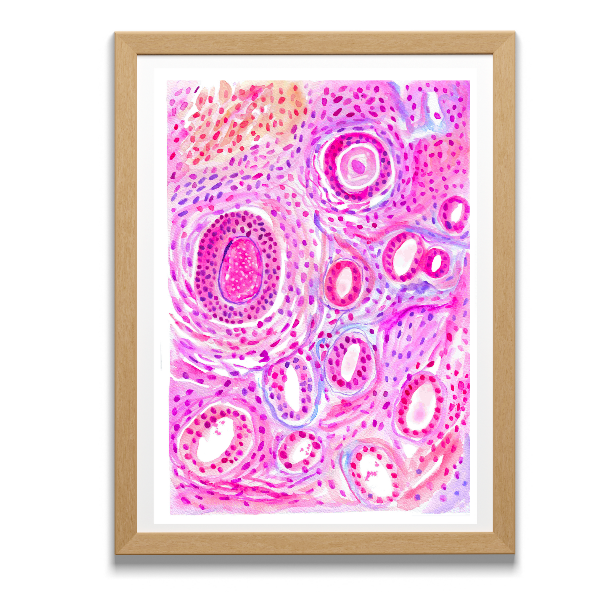 ovaries histology art
