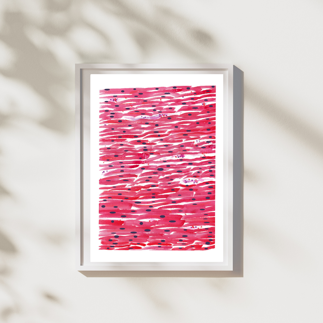 Cardiac Histology Art Print, Pathology Office Art