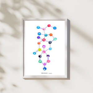 Prednison Molecule Art Print