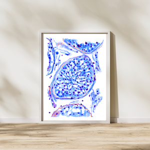 testes histology art print