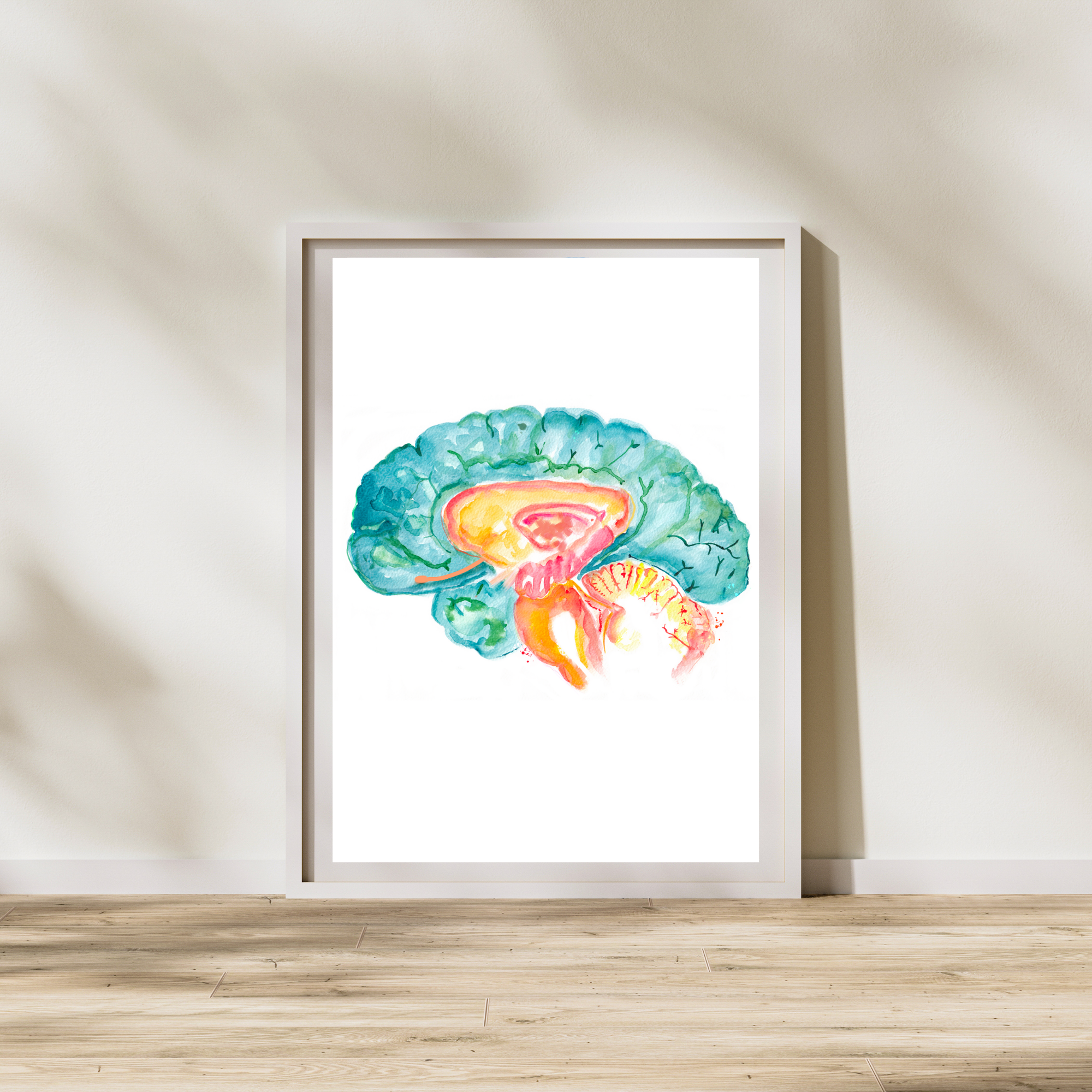 Hippocampus Brain Anatomy Art Print