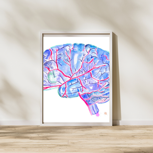 human brain and arteries anatomy art print