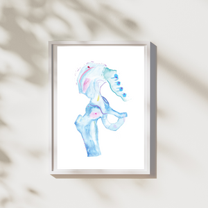 Hip Joint Anatomy Art, Physical Therapy Print, Orthopedic Surgery Art