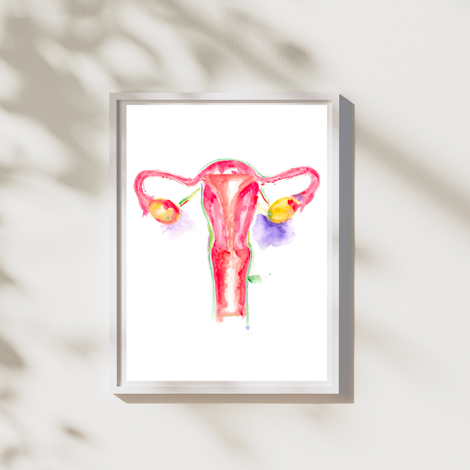 uterus anatomy art