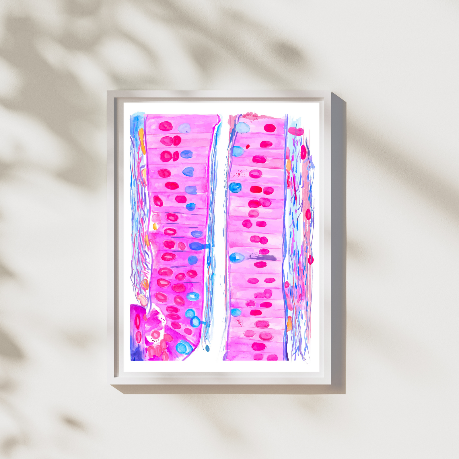Duodenum Histology Art Print