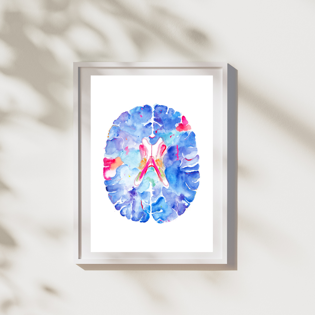 Brain Anatomy Art, Neuroscience Art, Neurologist Gift